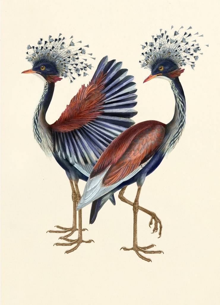 Moooi_CRANE-fullscreen.jpg