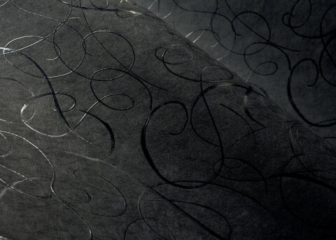 MoooiWallcoveringExtinctAnimals_CalligraphyBird_MO2011_M___hero_480_343.jpg