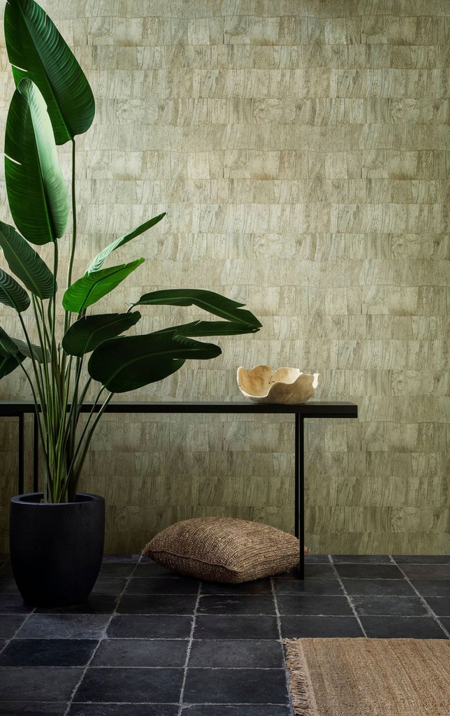 Selva_Capas_34304-fullscreen.jpg