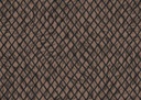 Aristo Quagga Collection