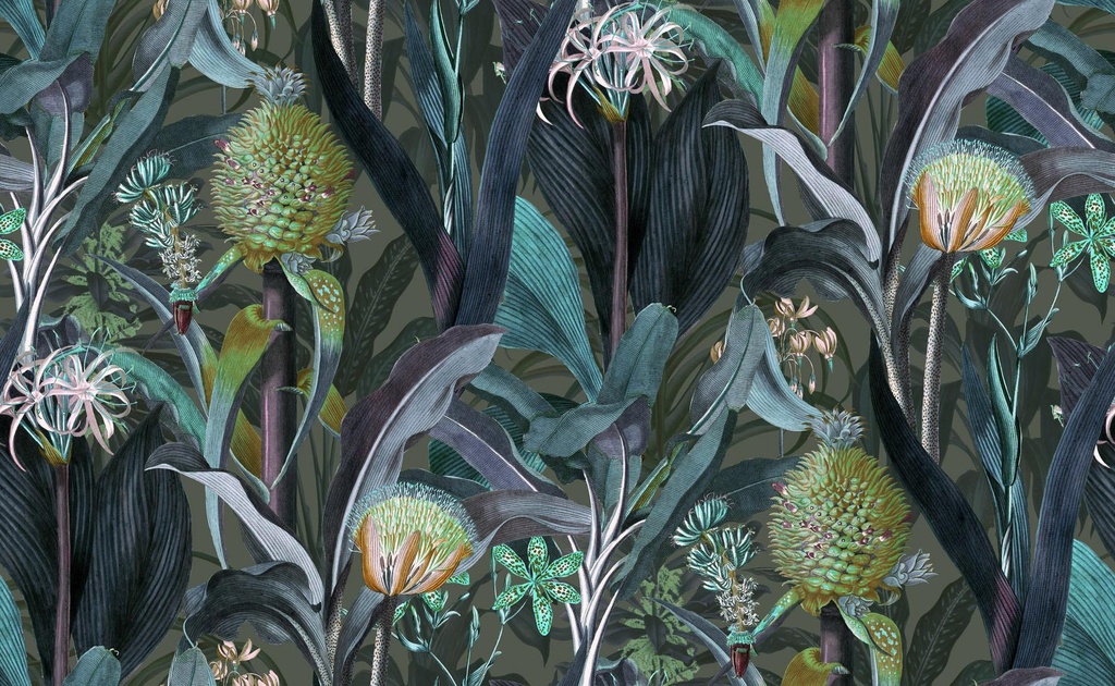 Blooming pineapple Collection