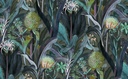Blooming pineapple Collection