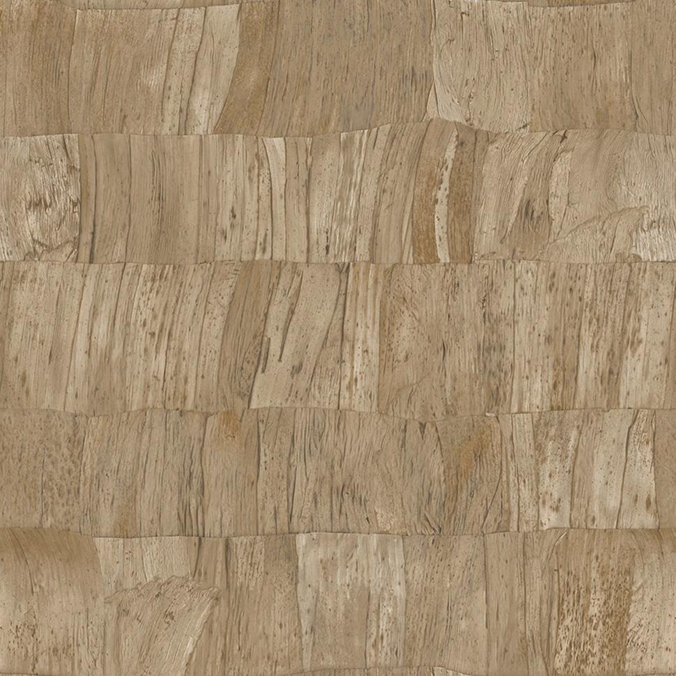 Capas Selva Collection
