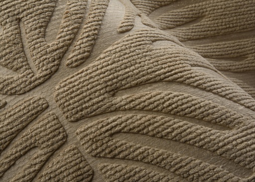 Monstera Yala Collection