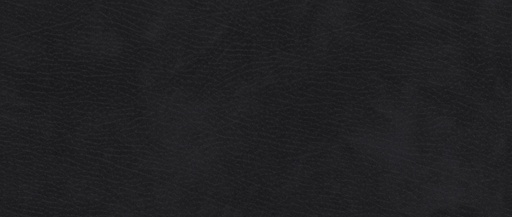 Texas Collection Davis