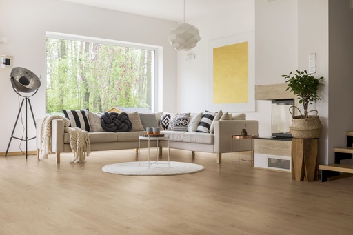 Easy Plus Collection